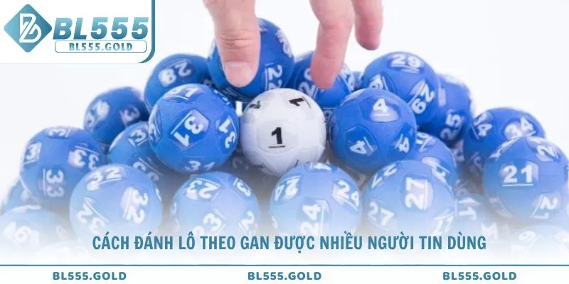 Khám phá cách đánh lô theo gan được nhiều người yêu thích
