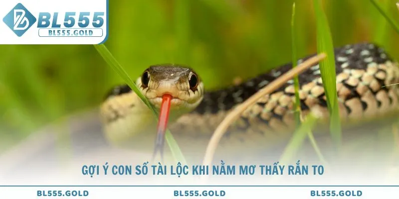 Bật mí những con số tài lộc khi nằm mơ thấy rắn to
