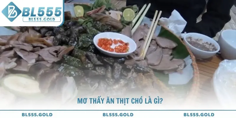 Tìm hiểu về mơ thấy ăn thịt chó là gì?