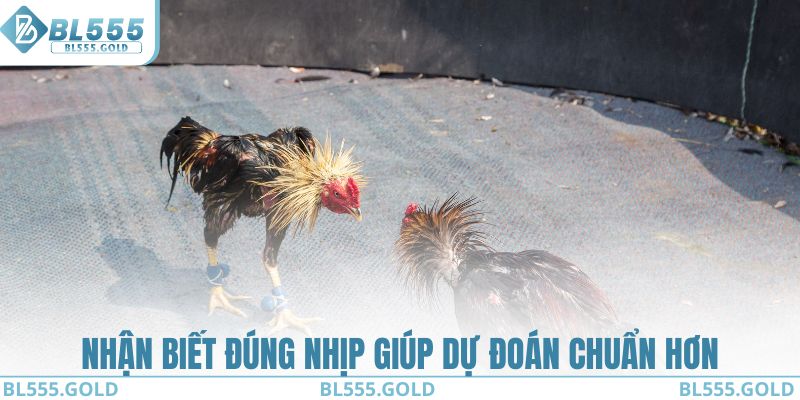 Nhận biết đúng nhịp giúp dự đoán chuẩn hơn